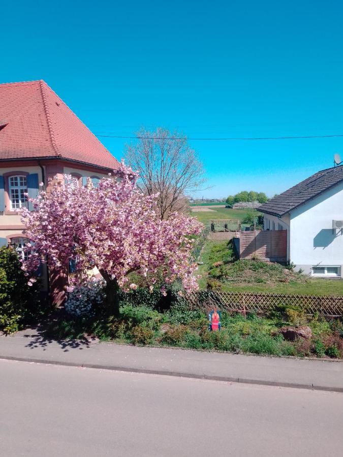 Gaestehaus Brunhilde Wittenweier Exterior photo